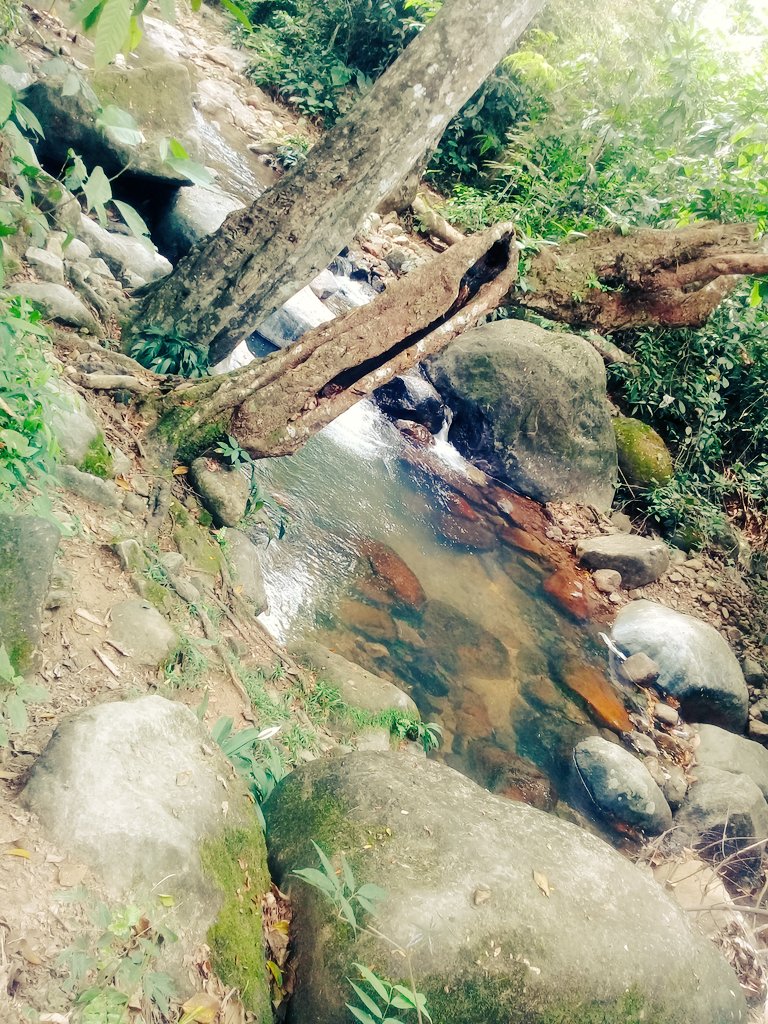 RodeloVal's tweet image. Si de bellezas naturales hablamos💙 esta es una de ellas💕