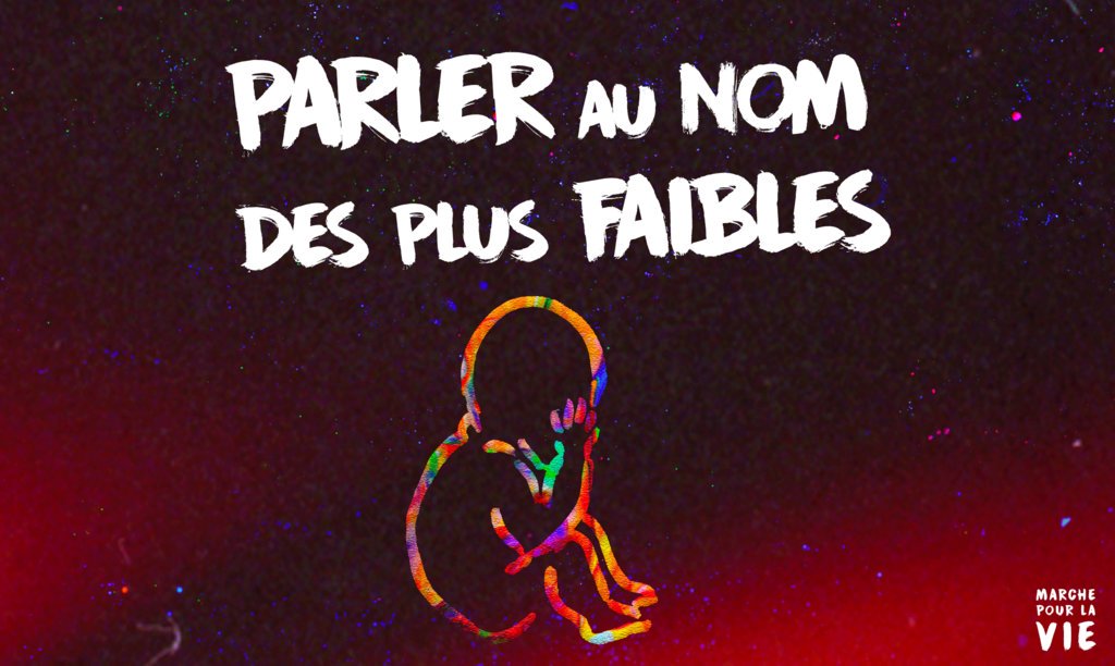 N_TardyJoubert's tweet photo. #MPLV2018  Nous marchons pour demander que les politiques publiques soient favorables à l'accueil de la vie dans notre pays https://t.co/cP2Uem0B7Z