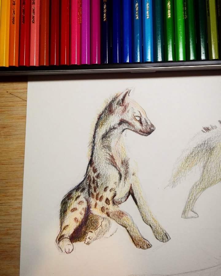 Algomar_8's tweet photo. ¡Estrenando lápices nuevos!
#caland'ache
#pencolor #art #illustration #hyena #dog #algomar #sketch #sketchwork #picoftheday #animal #animalsketch #doodle #new #artist
@ApoyaAlArtista @dibujando https://t.co/KxXkvFJMFl