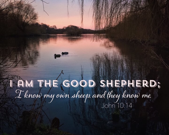 ThoughtsImages's tweet image. May the voice of the Shepherd strenghten you and safeguard you ...
bit.ly/2Dltv7X #gospel #iphoneography