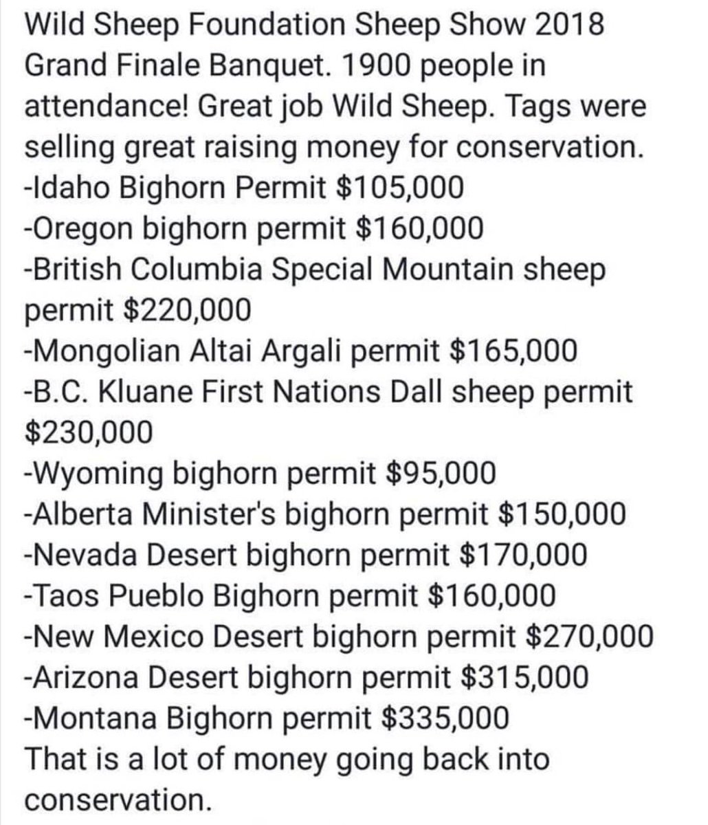 WildSheep Foundation tweet media