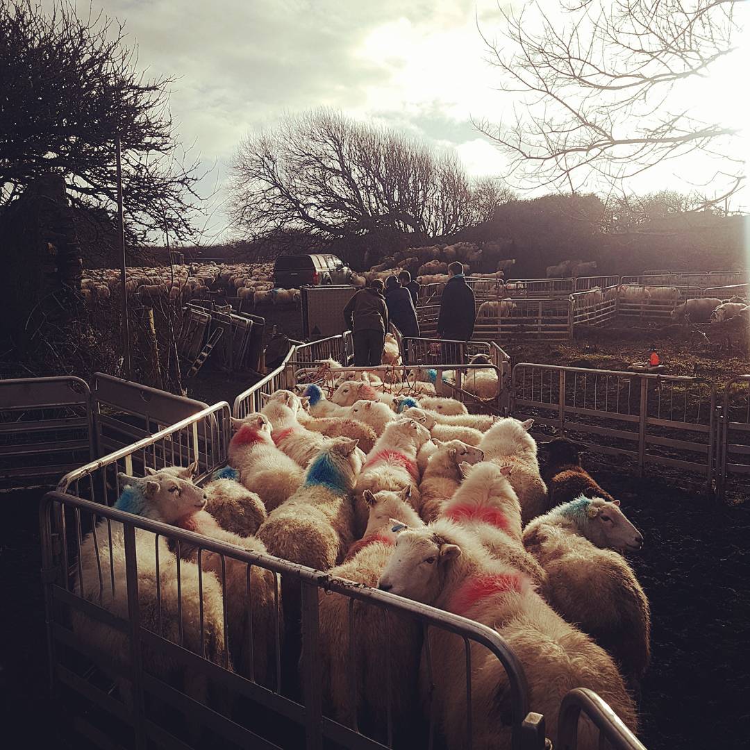 Beth Davies tweet media