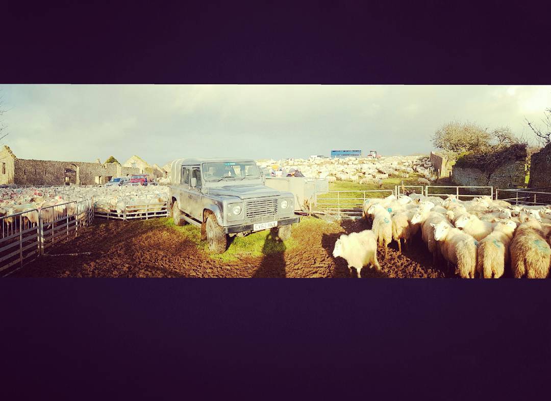 Beth Davies tweet media