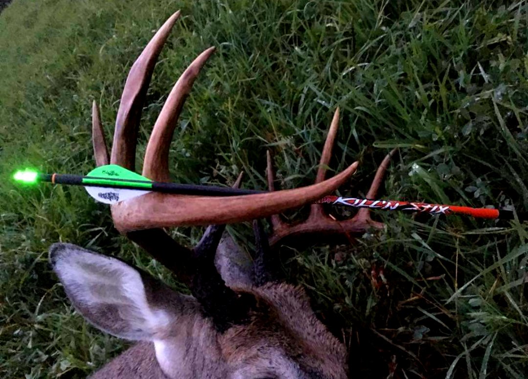 #killnstix in there natural habitat! 
#archery #bowhunter #targetarchey #hunting #Canadianpride #Alberta