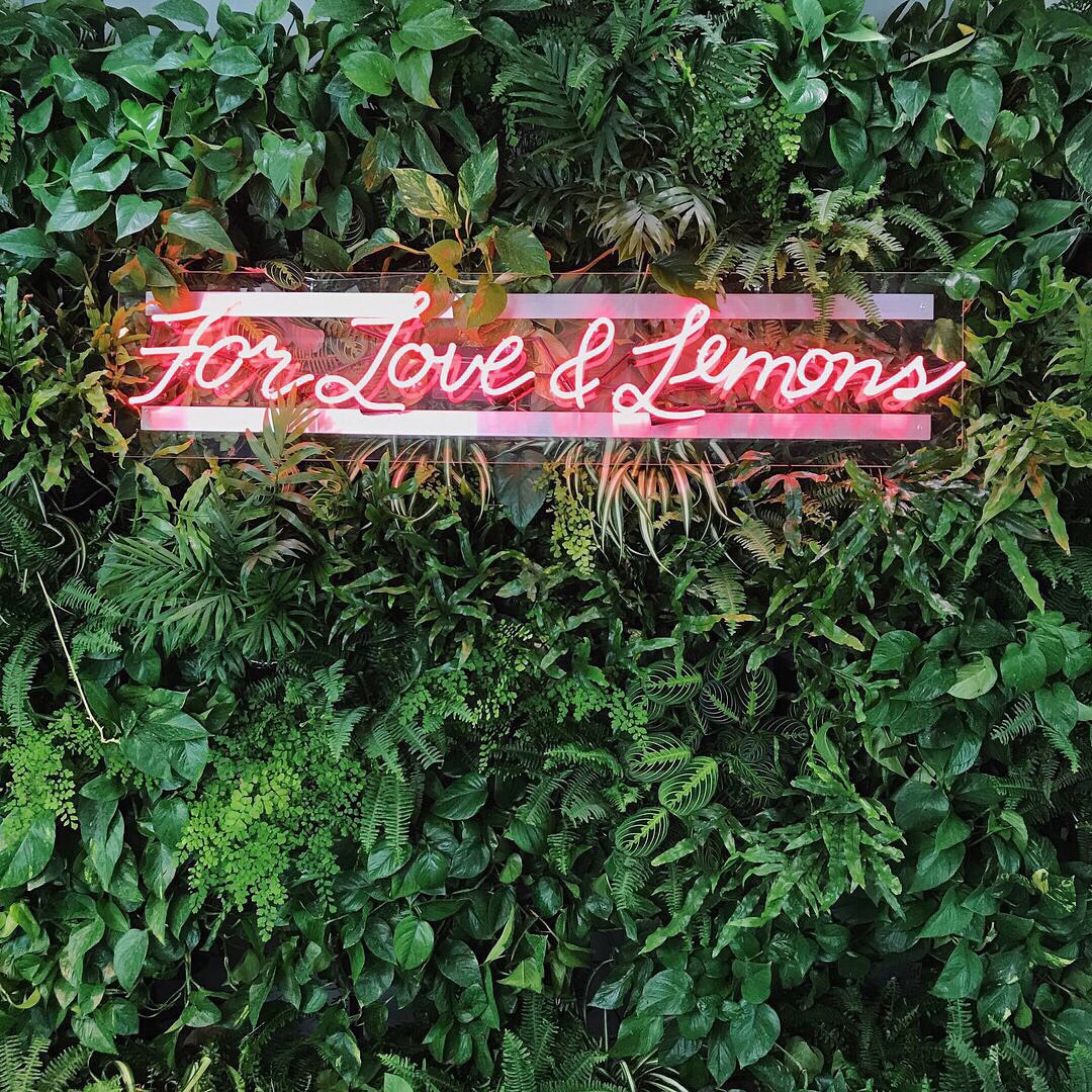LoveandLemons's tweet photo. Spring SWIM state of mind 🌴🌿🌺🌿 BTS from our launch party | #FLLSWIM https://t.co/QsHtgDGDRw