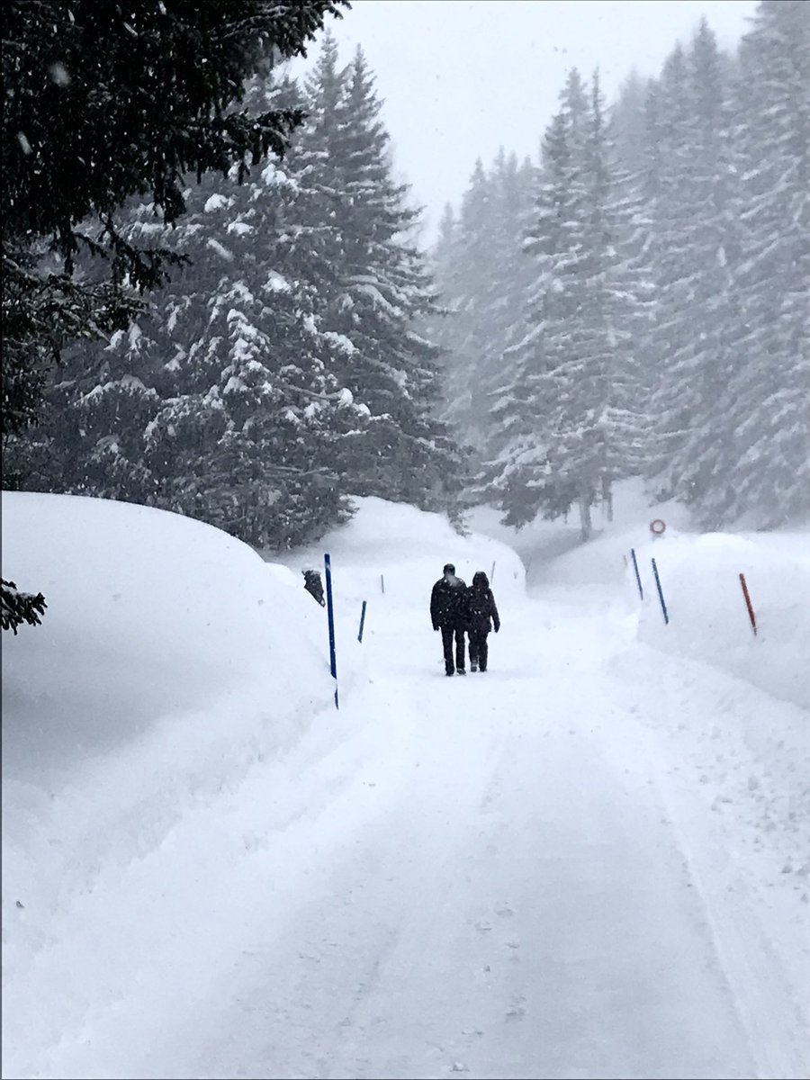 ChaletDatcha's tweet photo. Two metres of snow and still falling. #chaletdatcha https://t.co/gzx2KC6AYj