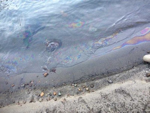 Connecticut Alert: 6,000 gallons of oil leaked in Waterbury, CT. Hazmat crews were at Somers Thin Strip Company Saturday evening for an oil leak.