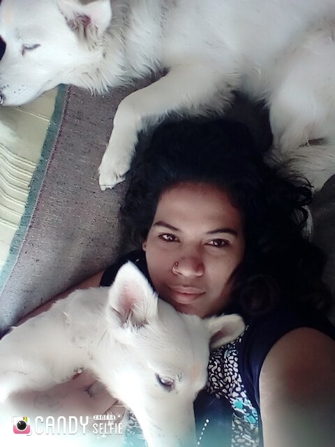 Munna Sharma Munnash Twitter Munna Sharma Munnash Twitter