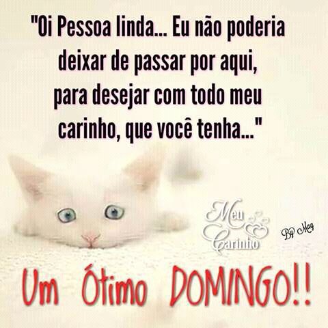 Super Azevas tweet media