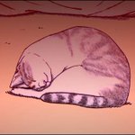 我が道を貫くかっこよさw姐さんのかっこよさと可愛さに惹かれる!