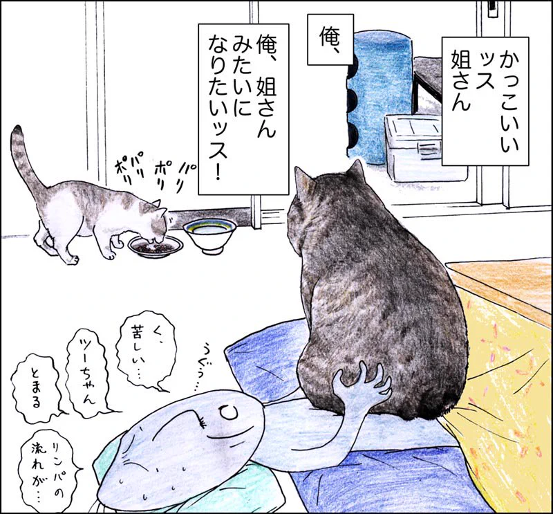 我が道を貫くかっこよさw姐さんのかっこよさと可愛さに惹かれるwww