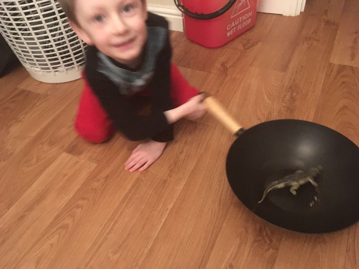 hroan's tweet photo. @BGrovePrimary Photos for Mrs Jones of Harrison doing his homework this weekend. We had a croc in a wok and a goat on a remote https://t.co/QVPpimf2wR