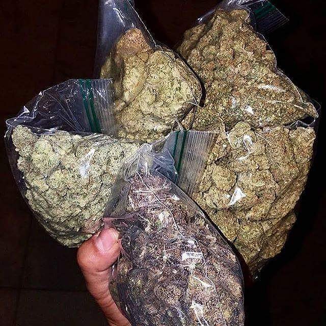 mate_got's tweet image. 