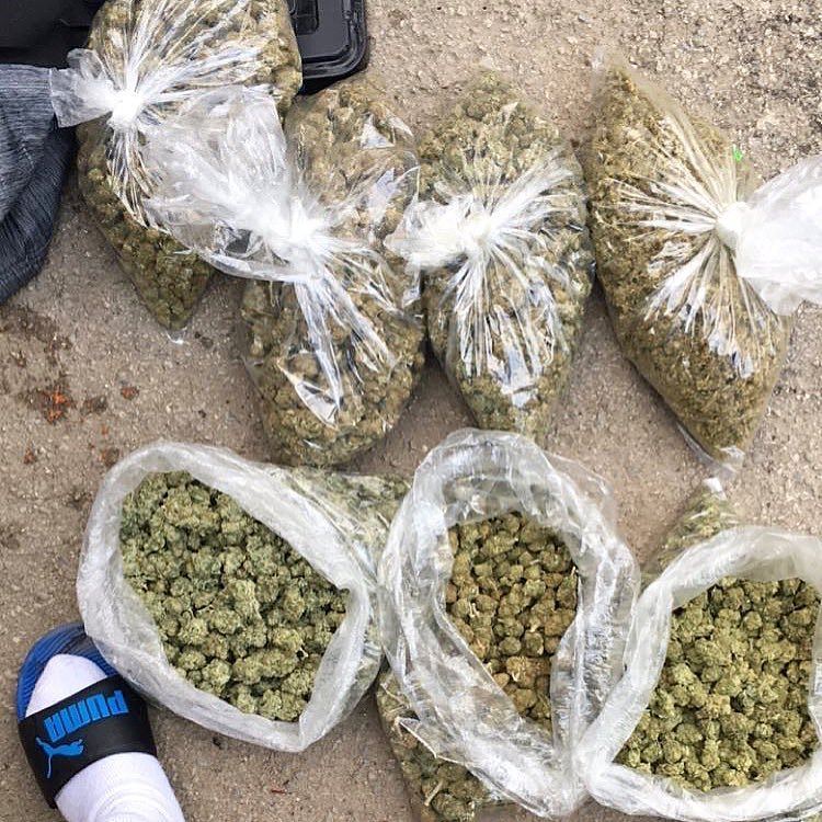 mate_got's tweet image. 