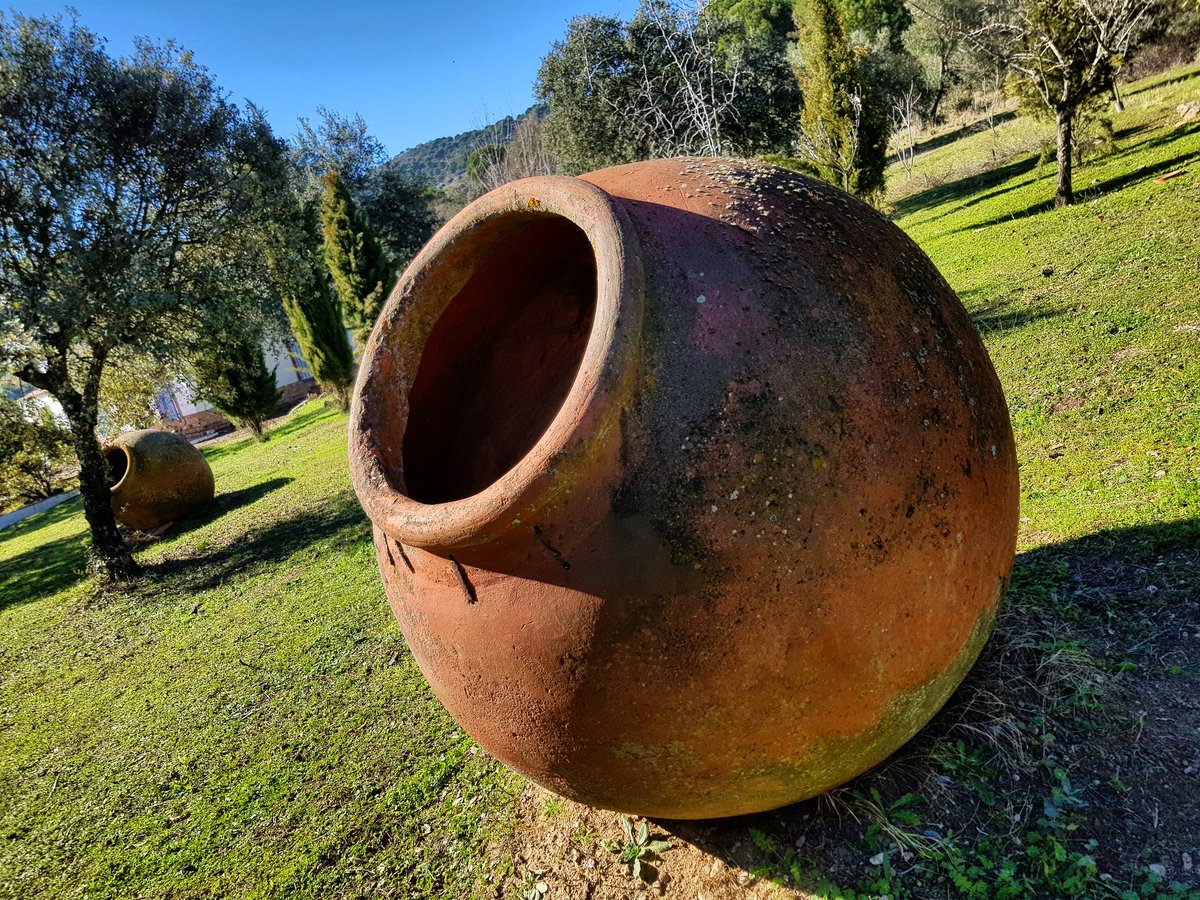 monteromonti's tweet photo. Esta es la #tinaja en donde se esconde un #bosque microscópico. Lleva con la familia más de un siglo, apenas un suspiro en la escala temporal de las tinajas habitadas... #SierraMorena #microbosques https://t.co/8ZbkWKC4yM