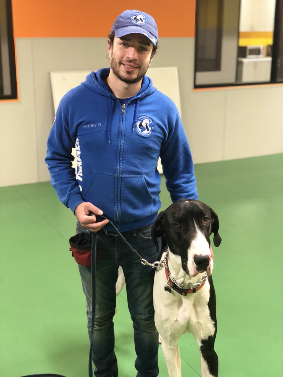 MasterDog22's tweet photo. Obedience training for Jinx today with trainer, Allen. ☺️🐾 Choose a course that works for you and your dog today at Master Dog Training! Call (818)290-9411 #training #masterdogtraining #obedience #maximbasyro #northridge #LosAngeles #dogtrainer #dogtraining #doglove https://t.co/0ftPICdStP