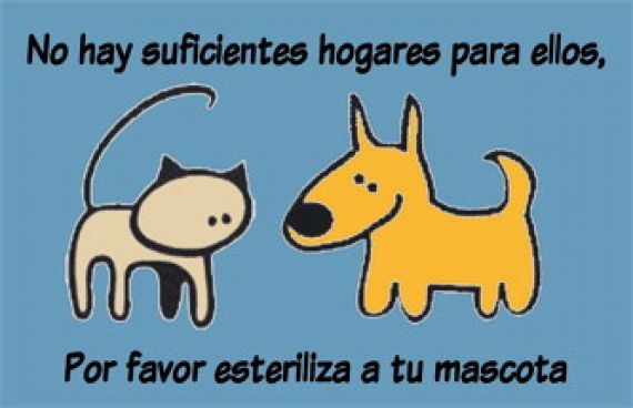 Estado_animal's tweet photo. #Esteriliza #Adopta #NuncaCompres Una solución al alcance de tu bolsillo y de tu conciencia. https://t.co/ezNjvYNky3