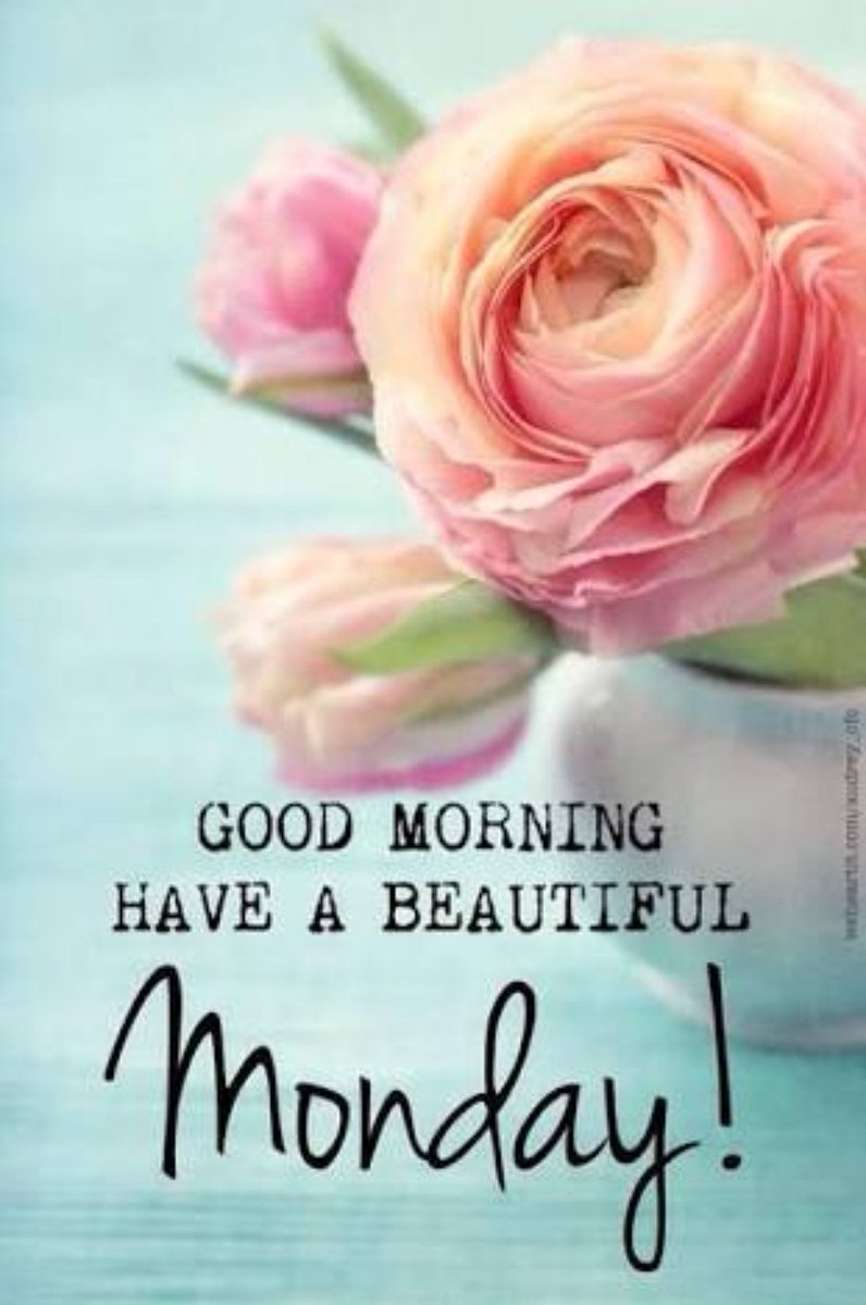 VathsalyaSrj's tweet photo. Good morning dearest @saurabhraajjain Have A superb week ahead 🤗🤗 #Stayhpy #keepsmiling always 😘😘😘 Love u sooo much ❤❤❤❤ https://t.co/EDp9pIvgfT