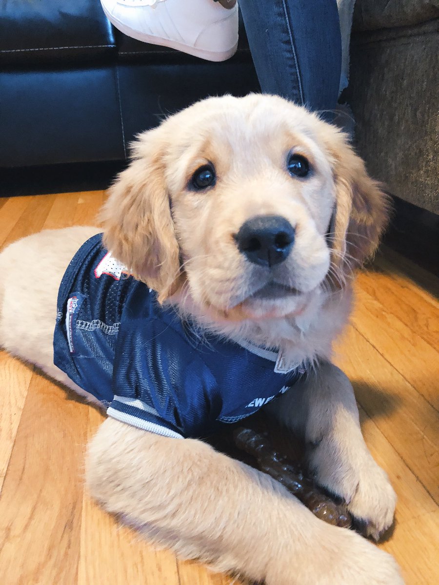 emlark's tweet photo. The team the team the team @Patriots https://t.co/IeSCubv3PV