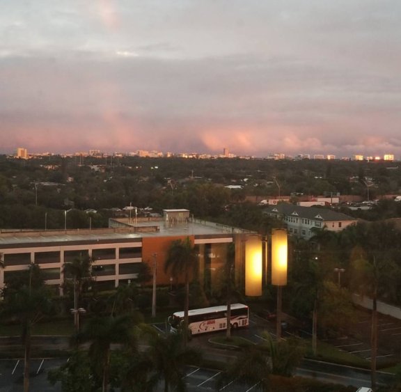 BocaMarriott's tweet photo. Do you currently have a palm tree view? No? We can change that. 🌴 https://t.co/EO1R7yShH7 #BocaMarriott

📸: chrissypxoxo https://t.co/YGfI2tSzCQ