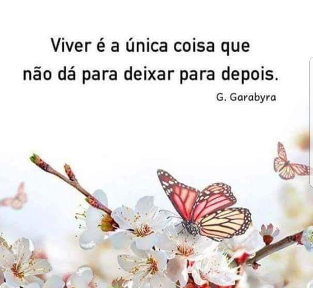 hildapinto63's tweet photo. https://t.co/xWsiOcPcPe