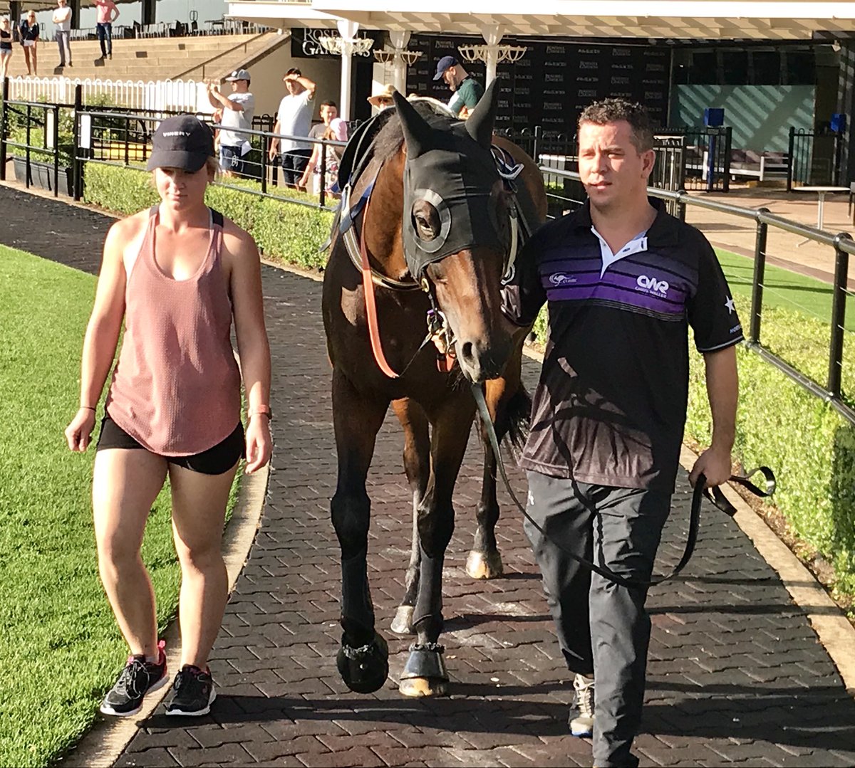 racing_nsw tweet picture