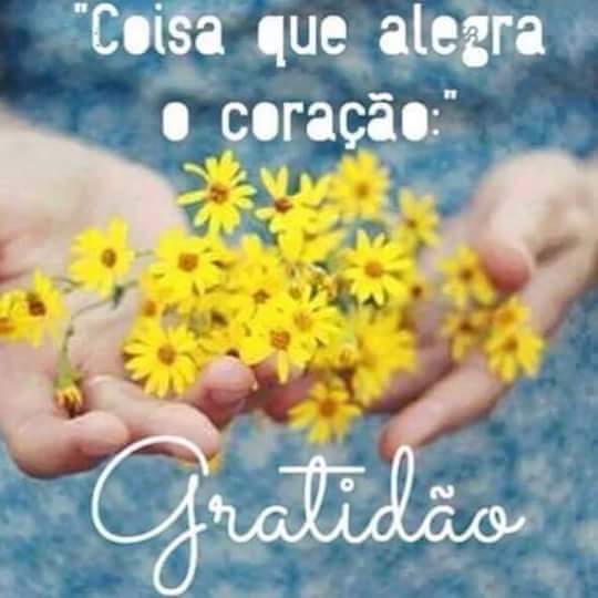 sueli #TimBeta (@suelyim) on Twitter photo 