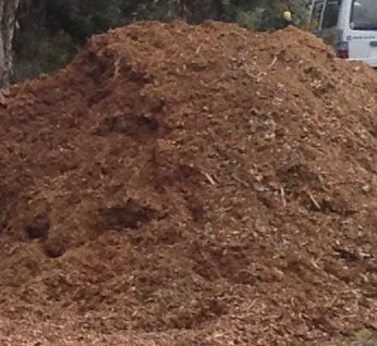 CCoastCouncil's tweet photo. Check out the amazing benefits of a simple naturally occurring garden mulch #WeedsWednesday #mulch #waterevaporation https://t.co/kUIylEKA8F