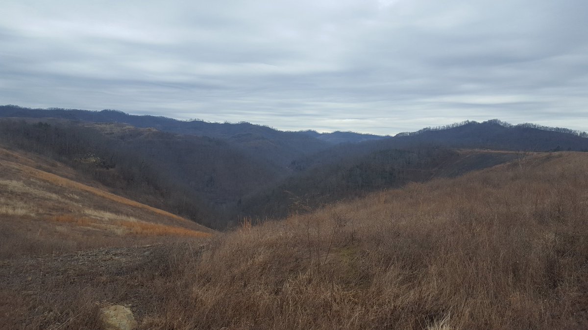 TracyH143's tweet photo. #WVMountains #Beautfiul #TopOfTheWorld https://t.co/vajqcEfMqu