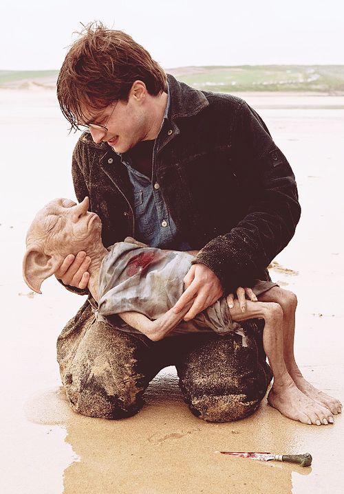 EiProfeta's tweet photo. ¿Qué muerte te dolió más?

RT - Dobby
Me Gusta - Sirius Black

¡Que comience la batalla! https://t.co/RgLY5oo0kF