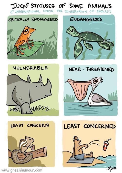 So true! Images by  Rohan Chakravarty thank you <a href="/MyFrogCroaked/">Dr. Jonathan Kolby</a> for the post! #reduce #reuse #recycle #changemindset