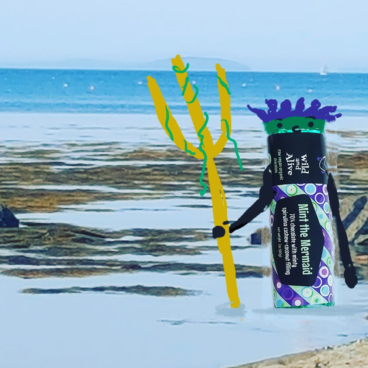 wildandaliveorg's tweet photo. Neptune just can't get enough of #mintthemermaid #rawchocolate #glutenfreetreats #wildandalive #vegantruffles #spirulina #mintfilling https://t.co/7W62QpSc27