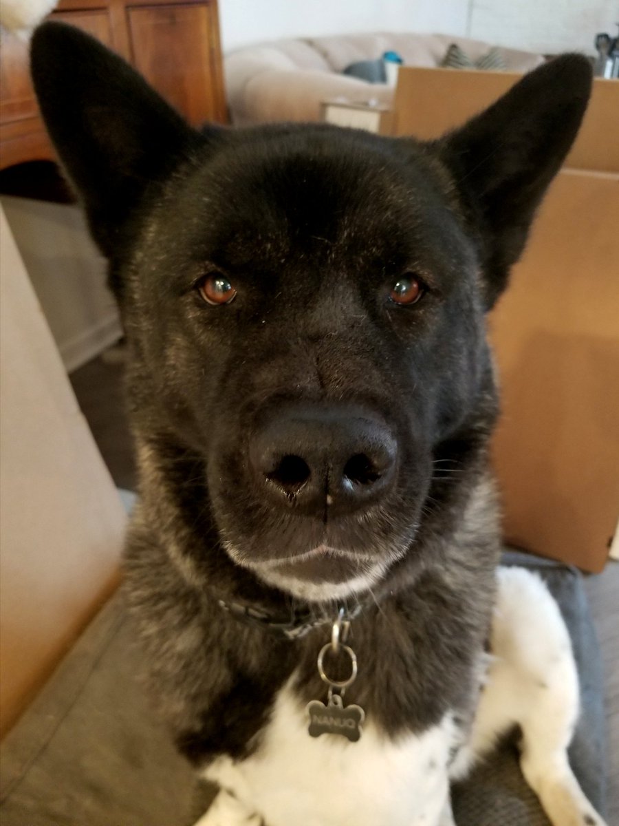 phillytech6's tweet image. #6abcAction  #Underdogs #FlyEaglesFly