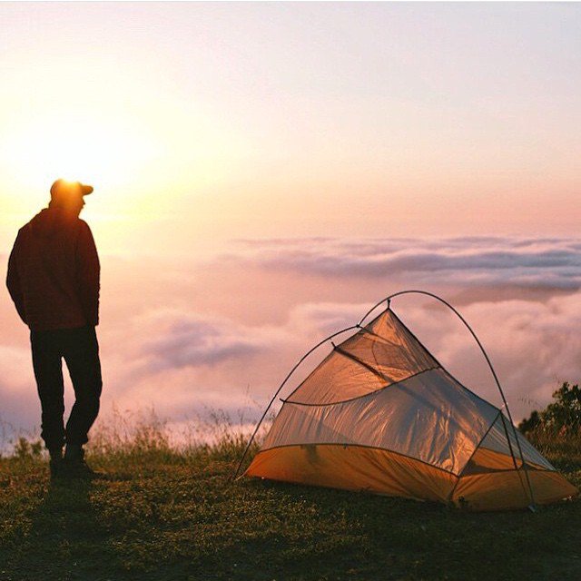 SouthernManner_'s tweet photo. Oh just take a look at this!

Welcome to https://t.co/rUowibuGKN

#explore #outdoor https://t.co/0PrVZA0ec7