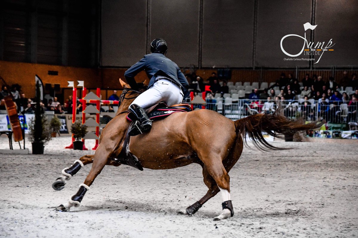 PatriceDelaveau's tweet photo. Retour sur la troisième place d’Arsouille du Seigneur dans le Grand Prix 2* de Nantes ! https://t.co/DCqVXVlwsO