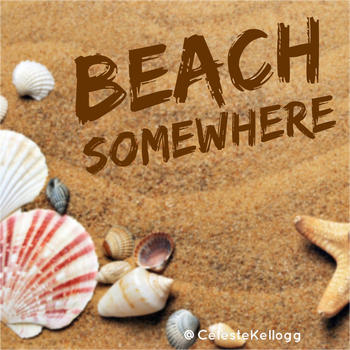 CelesteKellogg's tweet photo. Take me there! #BeachSomewhere https://t.co/k2T4W4DJkg https://t.co/RAf7GvfZRM