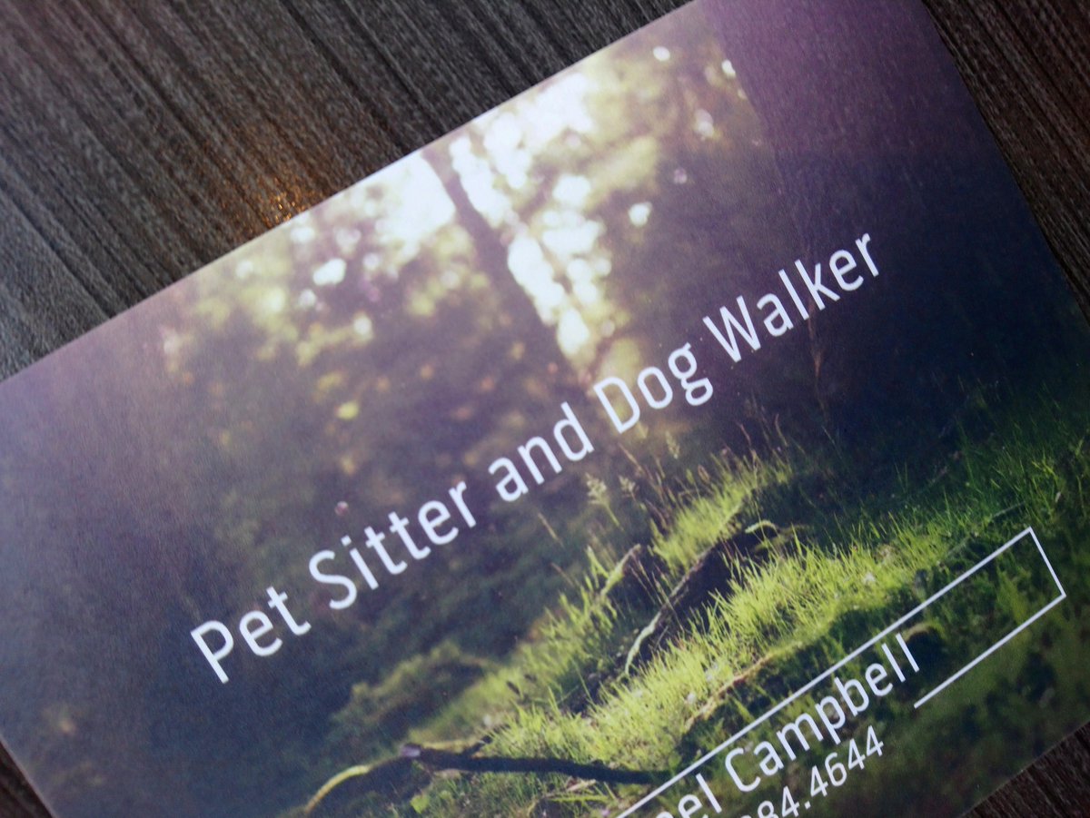 ShaaCampbell's tweet photo. ❤️❤️New project and true passion since years😍😍 #dogwalking #petsitting #lovedogs #mypassion #truelove #entertainment🐶🐱 https://t.co/NRCQH9B0Lb