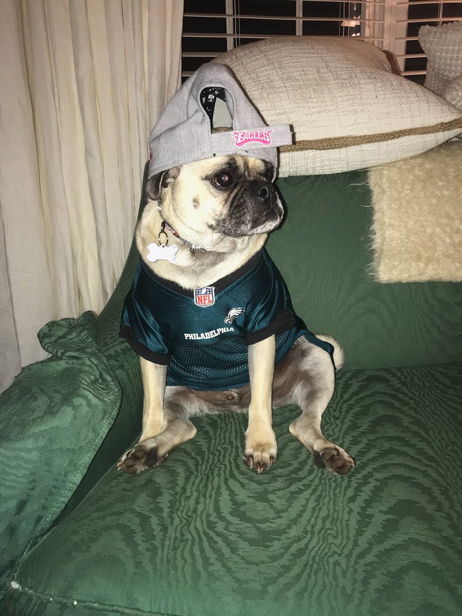 TheProcessTalk's tweet image. #6abcaction #FlyEagelsFly #eagles #jackrussellpug @Eagles   @NFLonFOX @975TheFanatic @6abc @NBCSPhilly @NBCPhiladelphia