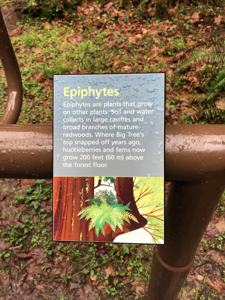 thehalocline's tweet photo. did you know? https://t.co/94jzZER4xO