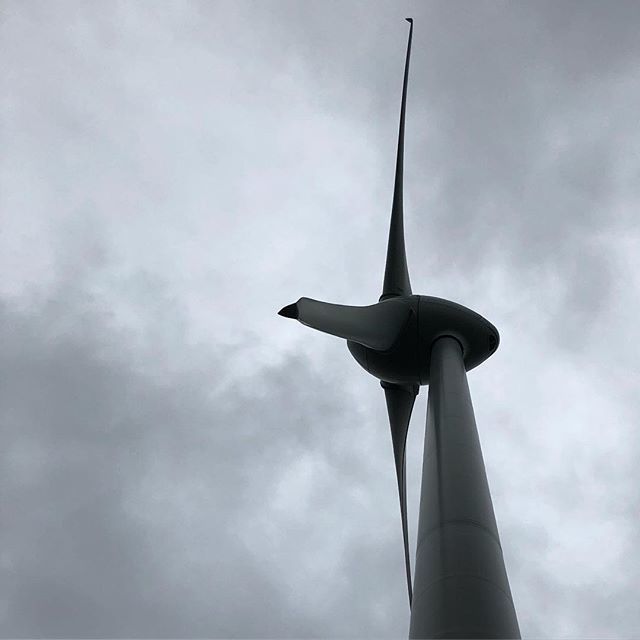 gingagma's tweet photo. Bit of a moody walk up #polhill to the #windturbine. #wellingtonanniversary #walkbeforetravel #walkhappy #owhirobay #tewhanganuiatara #wellington #aotearoa #nz https://t.co/OFNHqz9d7H https://t.co/OX3qseYBAa