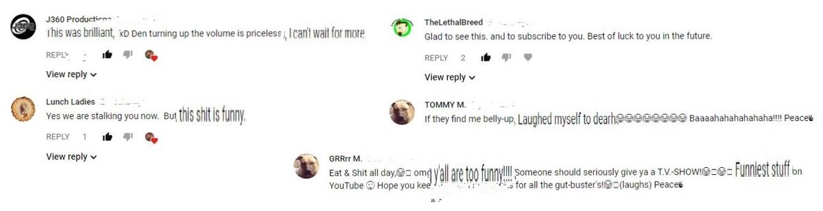 TheBruvsTV's tweet photo. Nice comments on #youtube - https://t.co/DstdUwmElt #comment #subscribe #wesubback #subforsub #subtosub #1000subsparty #getsubbing #leaveacomment https://t.co/W9K3KMvwUk