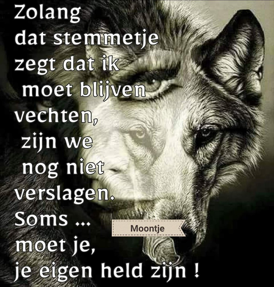 cientje81's tweet photo. https://t.co/Eo6WufuolL