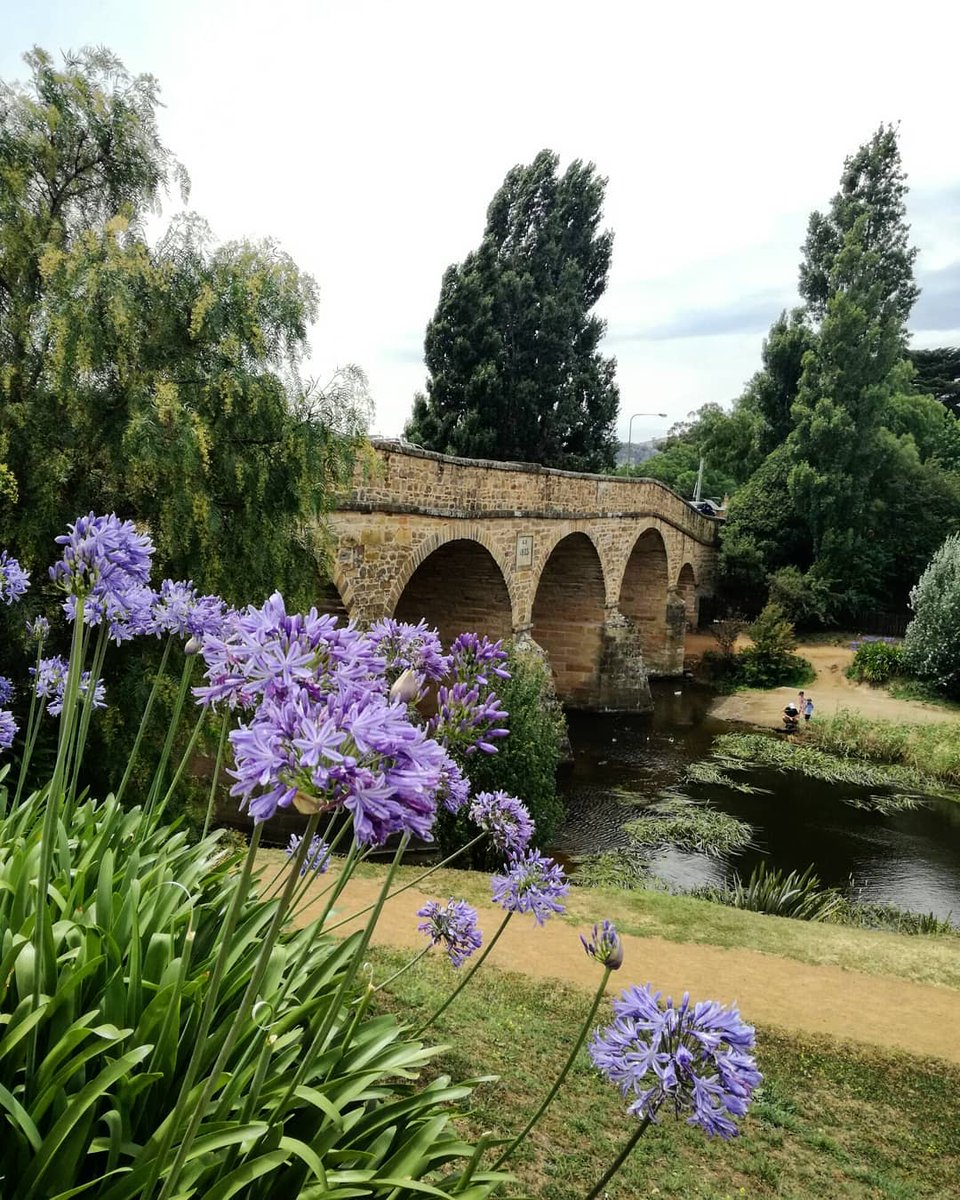 today_tasmania's tweet photo. A truly beautiful capture of the sandstone arches of Richmond Bridge, having spanned the Coal River since 1825 and built by convict labour, it is Australia's oldest surviving large stone arch bridge #Tasmania pic: https://t.co/gY53QTM9NP https://t.co/3SgMD53ZJP