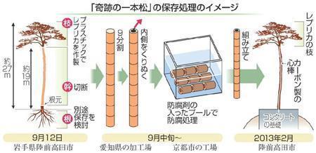 陸前高田市的傳奇 代表著人們希望的 奇跡の一本松 日本訊息