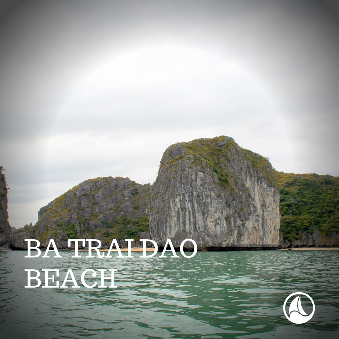HalongHub's tweet photo. As more and more people flock to visit the famous World Heritage site, visitors are craving a more intimate experience. If you’re one of these travelers seeking a Halong Bay cruise “off the beaten track”, then there are 4 places to visit. https://t.co/wjMZOzzMuA
