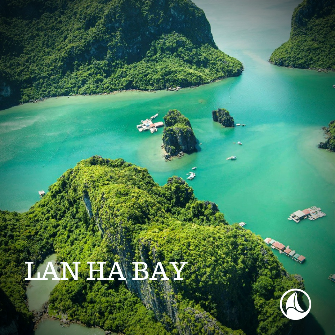 HalongHub's tweet photo. As more and more people flock to visit the famous World Heritage site, visitors are craving a more intimate experience. If you’re one of these travelers seeking a Halong Bay cruise “off the beaten track”, then there are 4 places to visit. https://t.co/wjMZOzzMuA