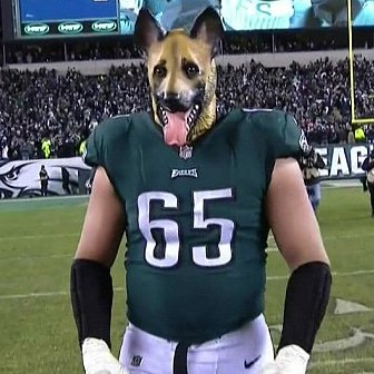 PhillyBleedsGrn's tweet photo. Y'all can skol, but these dogs gonna bowl! #flyeaglesfly #superbowl https://t.co/TAwUv4S4XE