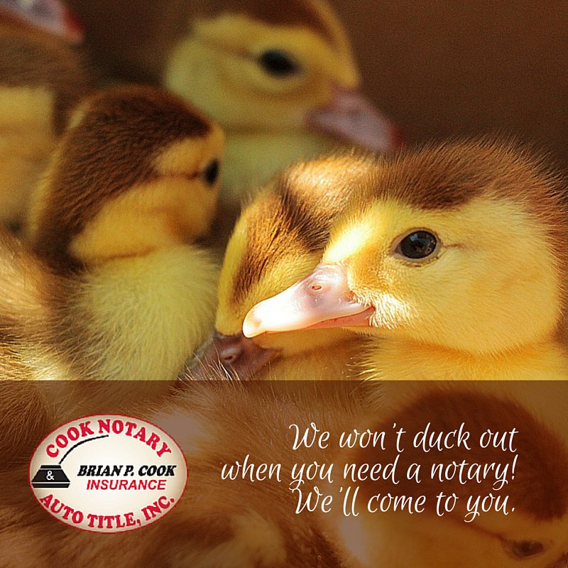 CookNotaryTitle's tweet image. #notary #MobileNotary