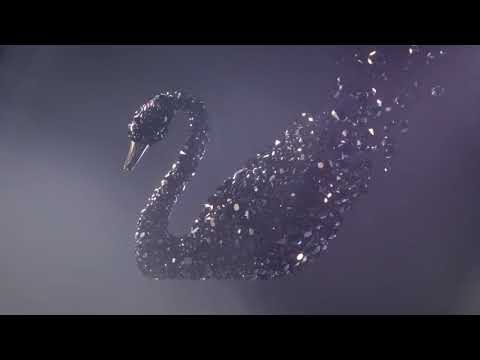 muarafatan's tweet photo. Swarovski ICONIC SWAN - Lanaken
 Watch Now 👉https://t.co/8auTnOzr0Q https://t.co/OaIgXmWkVY