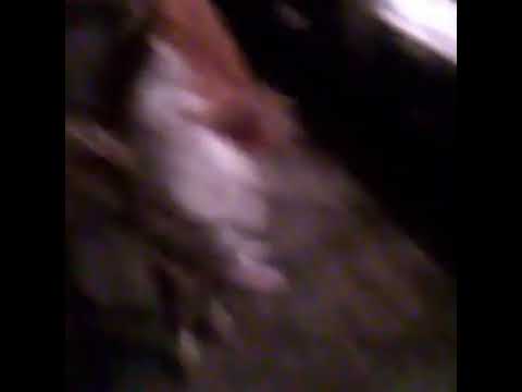 Gate 2 Wordy Freedom tweet media